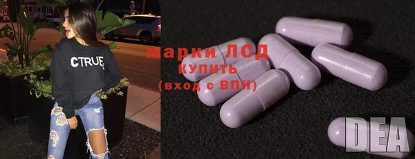 спиды Магас