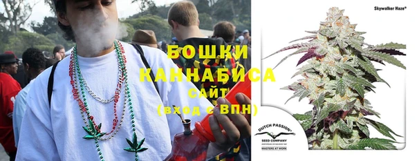гидра Бронницы