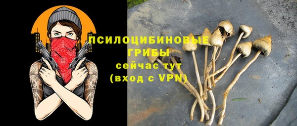 марихуана Медногорск