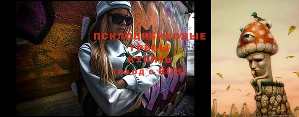 амф Мегион