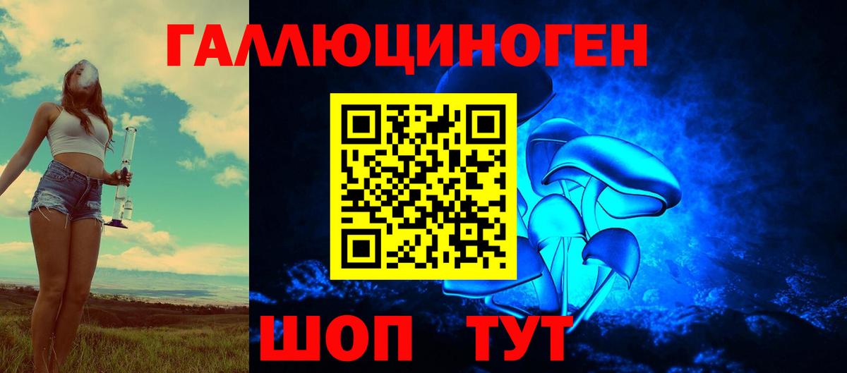 Вичуга  Псилоцибиновые грибы Magic Shrooms  Вход с VPN  Псилоцибиновые грибы GOLDEN TEACHER 